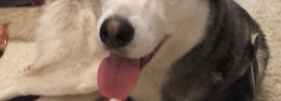 Erika Balážová Cover Image