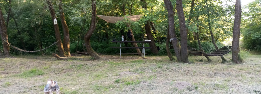 Svirzava Cover Image